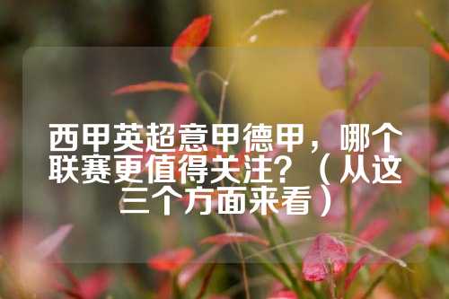 标无疑是一