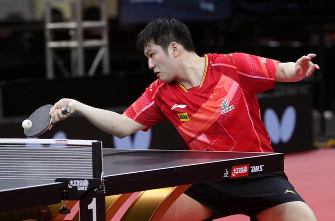 展现体育领 展现体育领