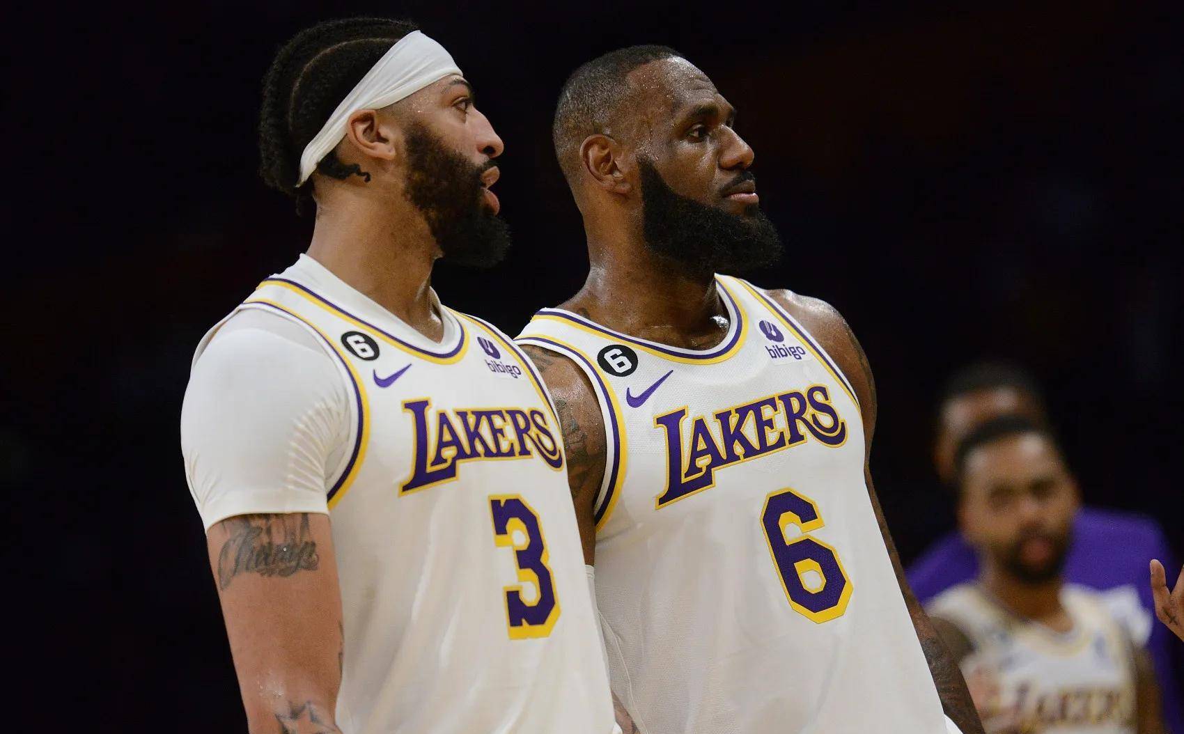 入时更具弹 入时更具弹